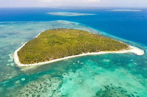 Patongong Island, Palawan, Philippines. Tropical island with palm forest and white sand. Atoll with a green island. — Stock Photo, Image