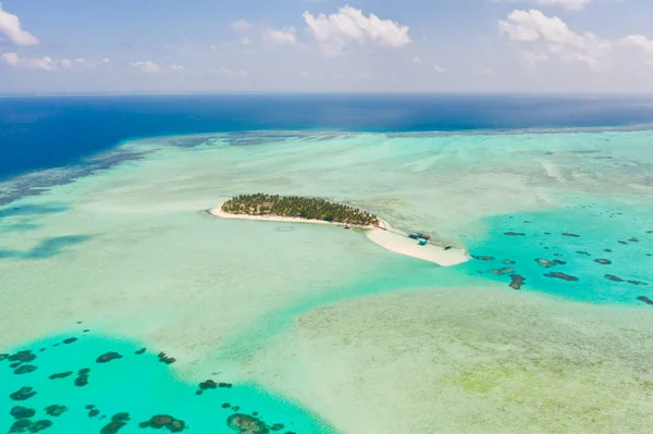 Onok Adası Balabac, Filipinler. Büyük bir mercan adasında beyaz kum adası, yukarıdan görünümü. Palmiye ağaçları ile tropikal ada.