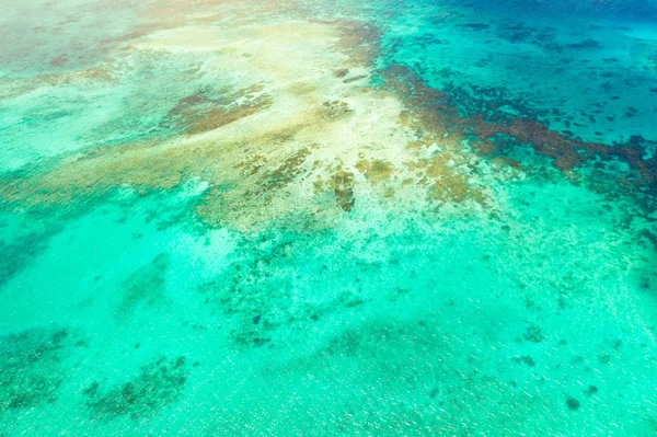 Ljus lagun med klart vatten och koraller, uppifrån. Havsytan ovanför havsatollen. Stockbild
