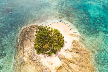 Guyam adası, Siargao, Filipinler. Palmiye ağaçları ve beyaz kumlu plaj ile küçük bir ada.