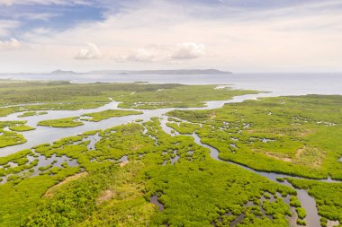 Filipinler'de nehirler ilerlemiolan mangrovlar. Mangrovlar ve adalar ile tropikal manzara.