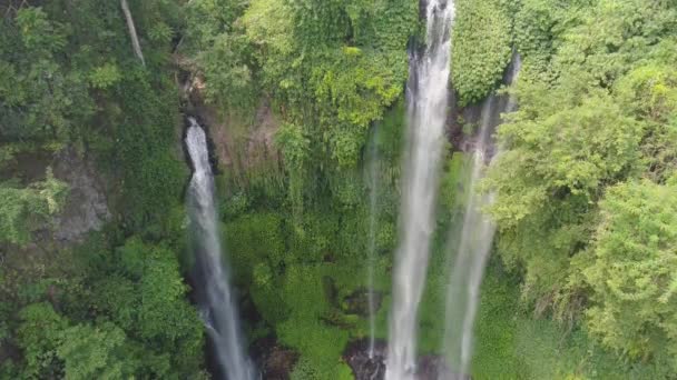 Hermosa cascada tropical Bali, Indonesia. Cascada en la selva . — Vídeos de Stock