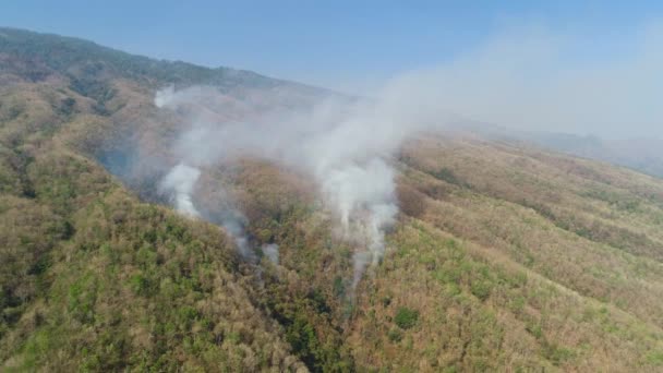 feu de forêt dans les montagnes
