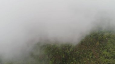 Endonezya 'da tarım arazileri ve köy Bali.