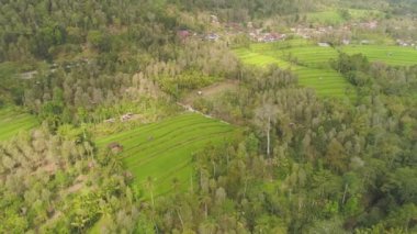 Endonezya 'da tarım arazisi olan tropikal araziler