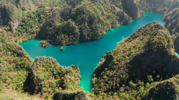 Mountain Lake Kayangan op tropisch eiland, Filippijnen, Coron, Palawan. — Stockvideo