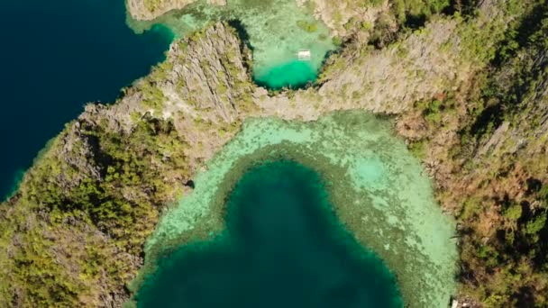 Paisaje marino con lagunas y agua turquesa — Vídeo de stock