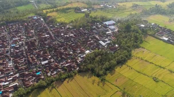 Paisaje tropical con tierras agrícolas en indonesia — Vídeos de Stock