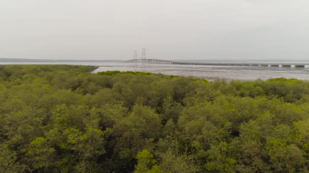 Jembatan kabel suspensi dalam surabaya — Stok Video