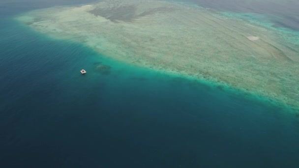 Paysage marin récif corallien en mer — Video