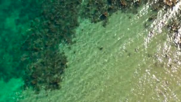 Paisagem tropical com mar azul e recife de coral — Vídeo de Stock