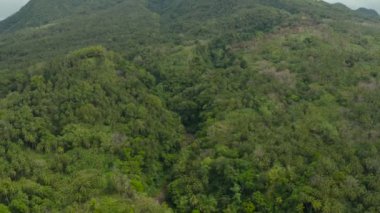 Dağlarla kaplı yağmur ormanları, Filipinler, Camiguin.