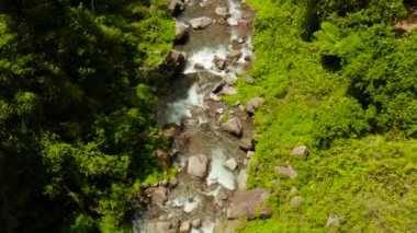 Yağmur ormanlarındaki dağ nehri, Filipinler, Camiguin.