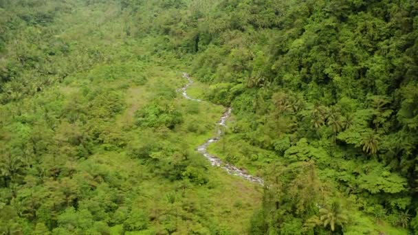 Rivier stroomt in de bergjungle, Filippijnen, Camiguin. — Stockvideo