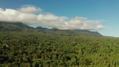Dağlarla kaplı yağmur ormanları, Filipinler, Camiguin.