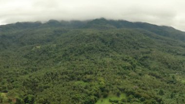 Dağlarla kaplı yağmur ormanları, Filipinler, Camiguin.