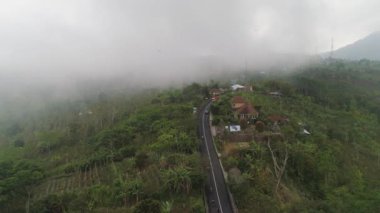 Dağ manzarası tarım arazileri ve Endonezya Bali köyü.