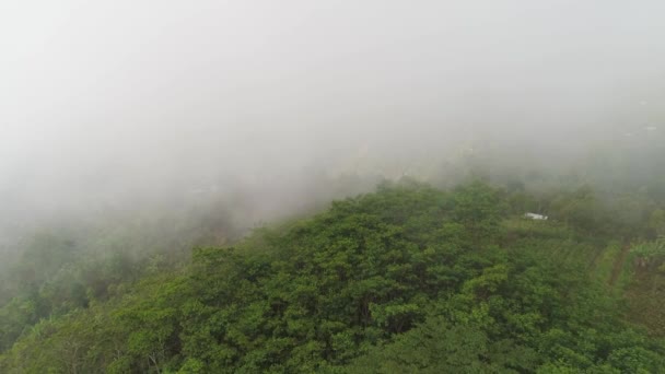 Mezőgazdasági területek és falu Bali, Indonézia. — Stock videók