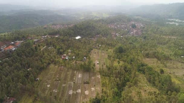 Paisaje tropical con tierras agrícolas en indonesia — Vídeos de Stock