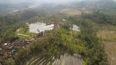 Endonezya 'da tarım arazisi olan tropikal araziler