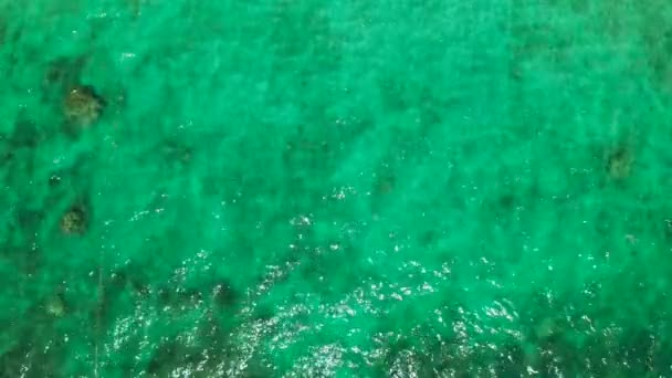 Top view of a clean ocean water near a coast — Stock Video