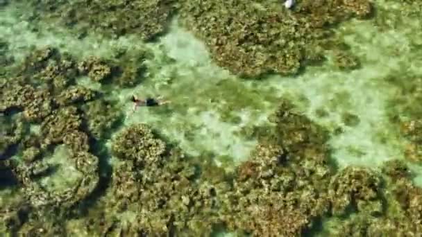 Touristen schnorcheln in der Lagune, Philippinen, El Nido. — Stockvideo