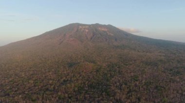 Endonezya Dağı ile tropikal manzara.