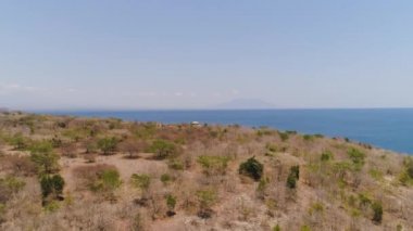Tropikal ada Menjangan 'da hava manzaralı güzel bir plaj. Bali, Endonezya.