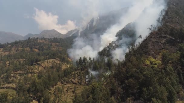 Pożar lasu w górach — Wideo stockowe