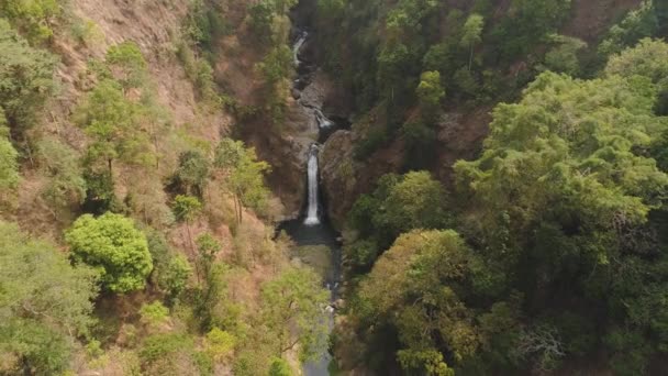 Tropisch landschap regenwoud en waterval — Stockvideo