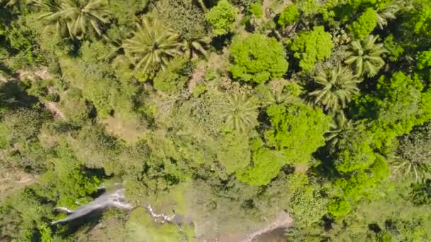 Cascade Coban Sewu Java Indonésie — Video