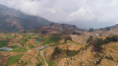 Dağlarda tarım arazileri olan tropikal manzaralar