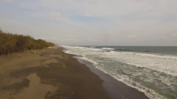 Sandy beach near the ocean — Stock Video