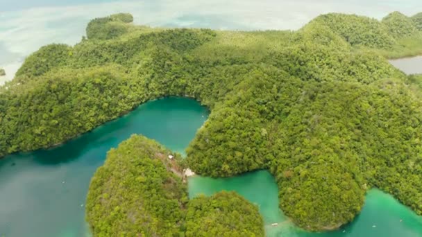 Sugba Lagoon, Siargao, Filippijnen. Kleine eilandjes met lagunes, Top uitzicht. — Stockvideo