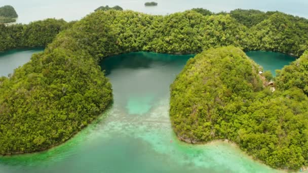 Sugba Lagoon, Siargao, Filippijnen. Kleine eilandjes met lagunes, Top uitzicht. — Stockvideo