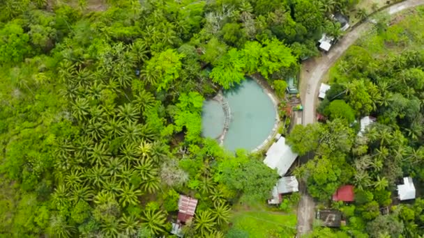 Басейн з морською содою. Басейн в тропічному лісі на острові Камільон, Філіппіни. — стокове відео
