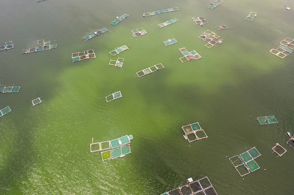 Fish farm with fish cages, top view. — Stock Photo, Image