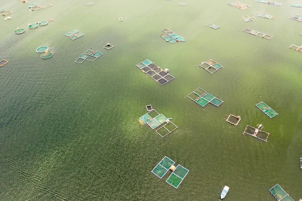 Fish farm with fish cages, top view. — Stock Photo, Image