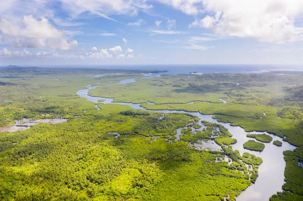 Filipinler'de nehirler ilerlemiolan mangrovlar. Mangrovlar ve adalar ile tropikal manzara.