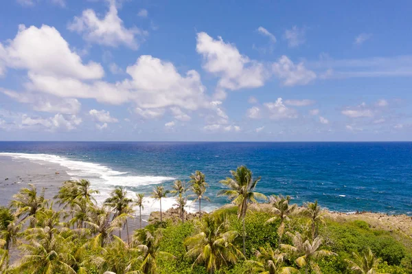 A costa rochosa de uma ilha tropical. Siargao, Filipinas. Coqueiros junto ao mar. Seascape em tempo ensolarado . — Fotografia de Stock