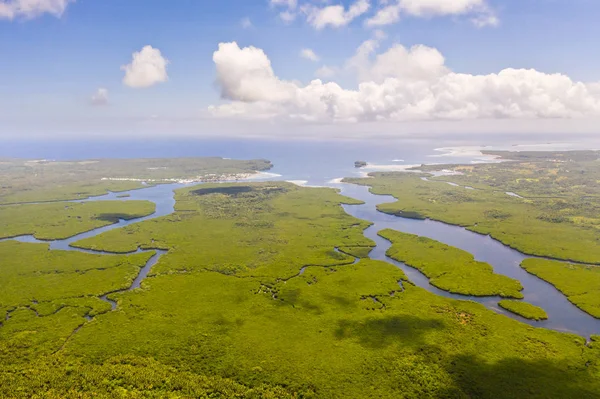 Mangroves with rivers in the Philippines. Tropical landscape with mangroves and islands. — Stock Photo, Image