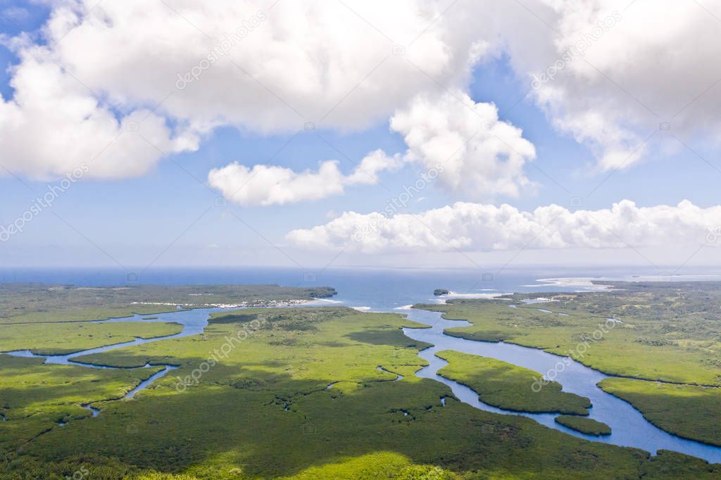 Mangroves with rivers in the Philippines. Tropical landscape with mangroves and islands.