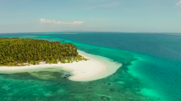 Isla Patongong, Palawan, Filipinas. Isla tropical con palmeras y arena blanca. Atolón con una isla verde . — Vídeos de Stock