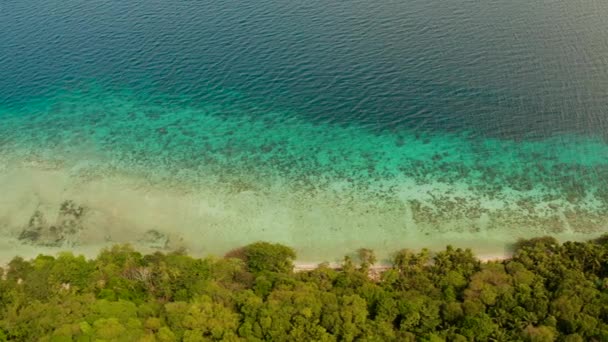 Litoral com floresta e palmeiras, recife de coral com água azul-turquesa, vista aérea. Superfície de água do mar em lagoa e recife de coral . — Vídeo de Stock