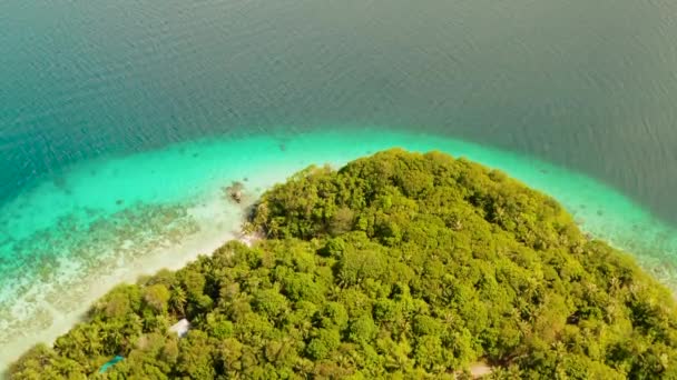 Kust med skog och palmer, korallrev med turkos vatten, flygvy. Havsvattenytan i lagunen och korallrev. — Stockvideo