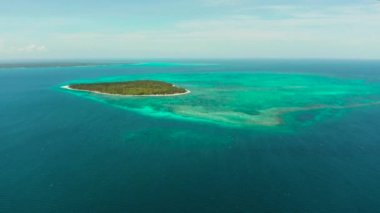 Patongong Adası, Palawan, Filipinler. Palmiye ormanı ve beyaz kumlu tropik ada. Yeşil ada ile mercan adası.