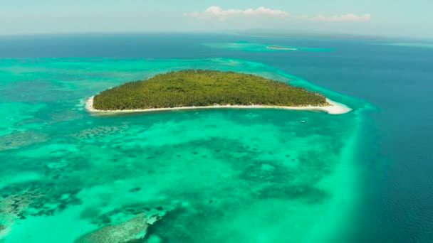 Остров Патонгонг, Палаван, Филиппины. Тропический остров с пальмовым лесом и белым песком. Атолл с зеленым островом . — стоковое видео
