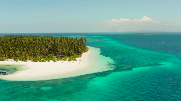 Patongong Island, Palawan, Filipiny. Tropikalna wyspa z lasem palmowym i białym piaskiem. Atol z zieloną wyspą. — Wideo stockowe