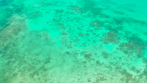 Koraalriffen en atollen in de tropische zee, Top uitzicht. Zeeoppervlak. — Stockvideo