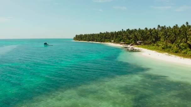 Patongong Island, Palawan, Filipiny. Tropikalna wyspa z lasem palmowym i białym piaskiem. Atol z zieloną wyspą. — Wideo stockowe